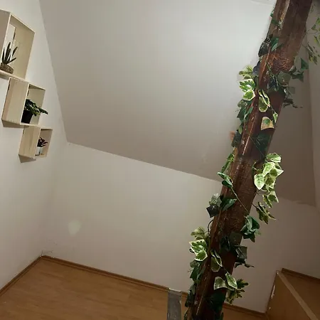 Apartment Acogedor *